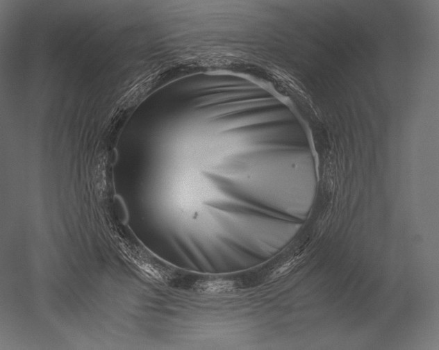 X0000051250501200507011656