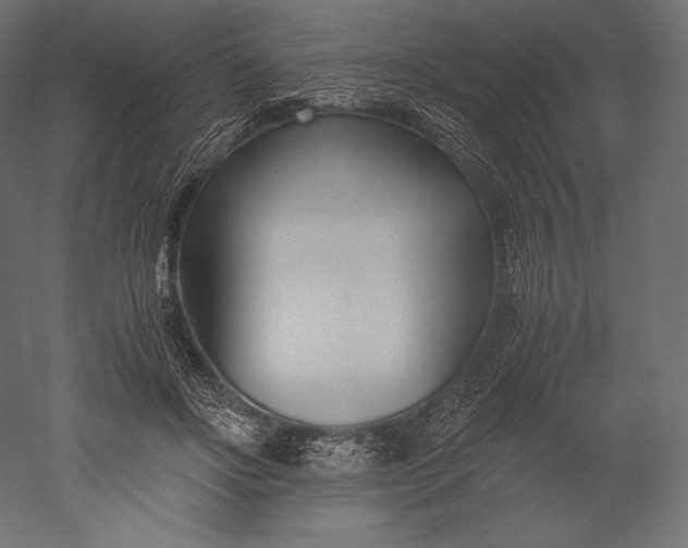 X0000051250502200507011656