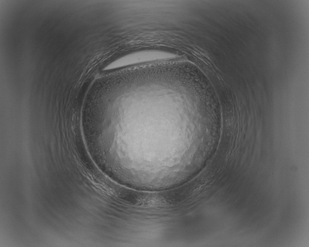 X0000051250503200507011656