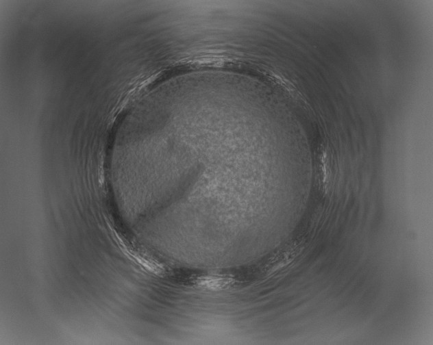 X0000051250504200507011656