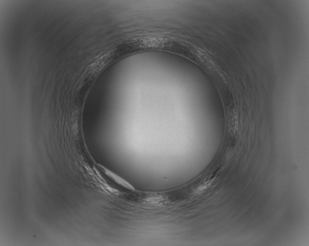 X0000051250505200507011656