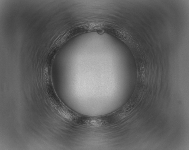 X0000051250506200507011656