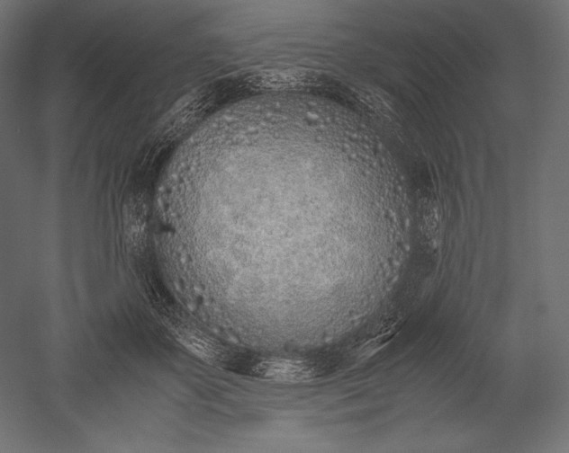 X0000051250507200507011656