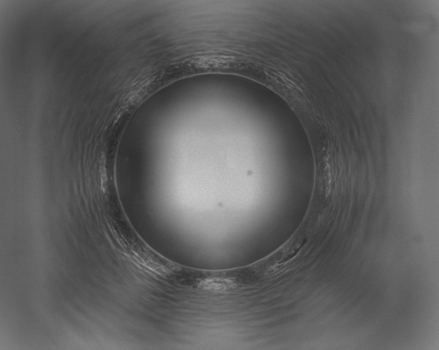 X0000051250508200507011656