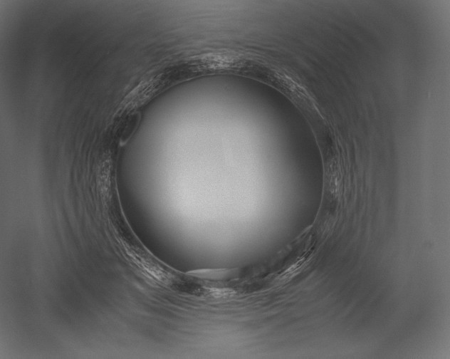 X0000051250509200507011656