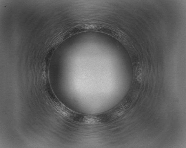 X0000051250510200507011656