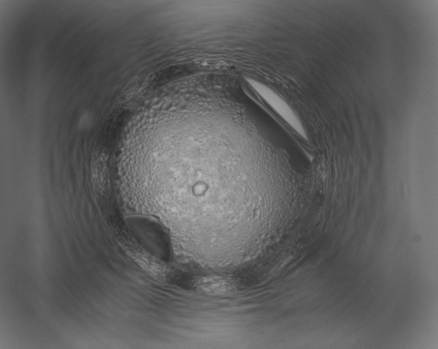 X0000051250511200507011656