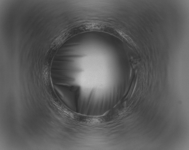 X0000051250513200507011656