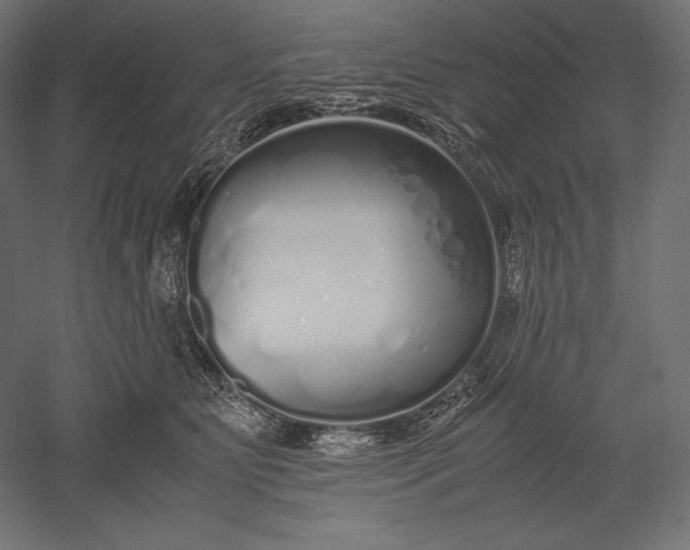 X0000051250515200507011656