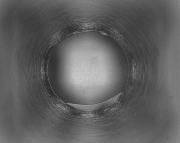 X0000051250516200507011656