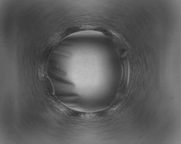 X0000051250517200507011656