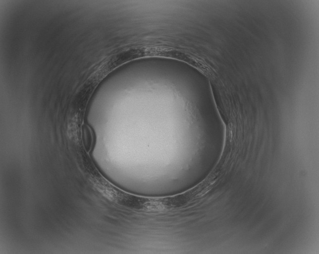 X0000051250519200507011655