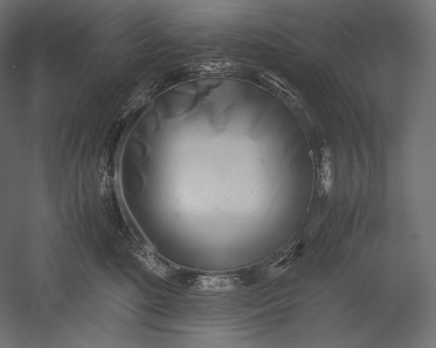 X0000051250520200507011655