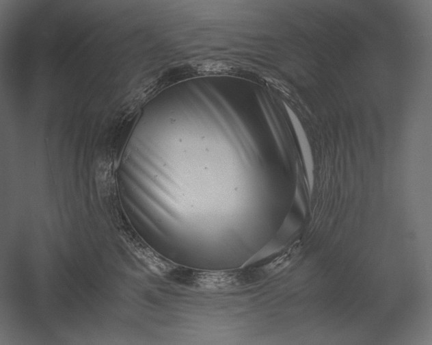 X0000051250521200507011655