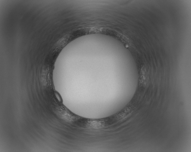 X0000051250522200507011655