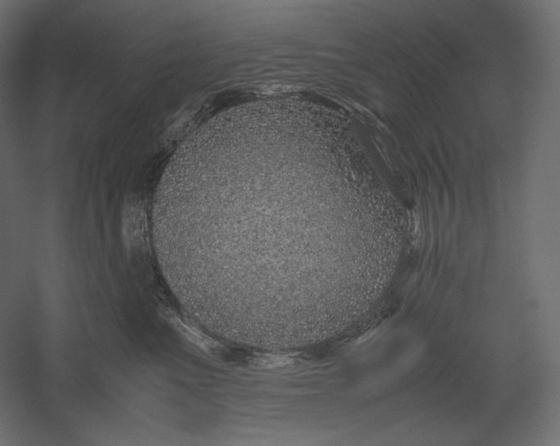 X0000051250523200507011655