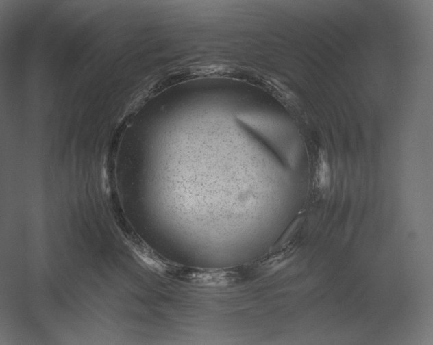 X0000051250524200507011655