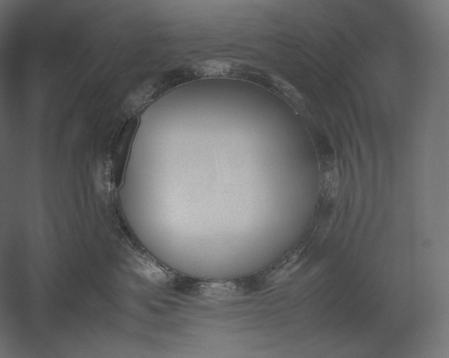 X0000051250525200507011655