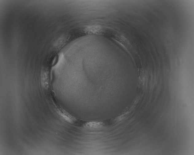 X0000051250526200507011655