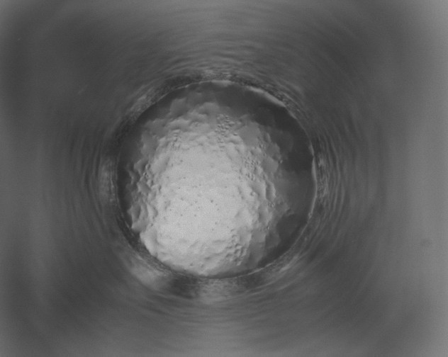 X0000051250527200507011655