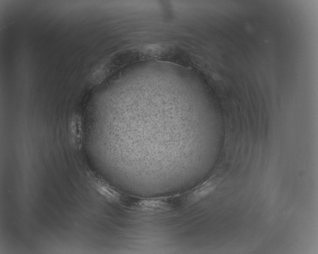 X0000051250528200507011655