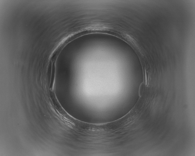 X0000051250531200507011655