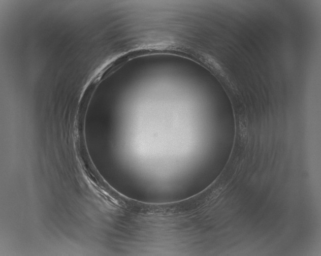 X0000051250532200507011655