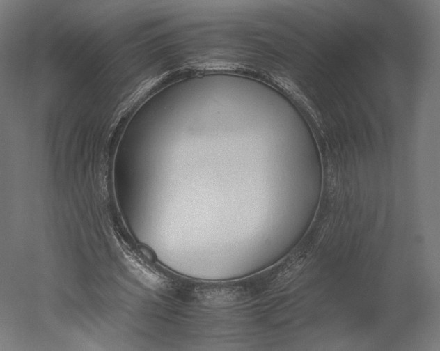 X0000051250533200507011655