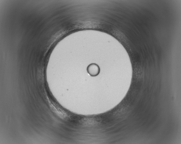 X0000051250534200507011655