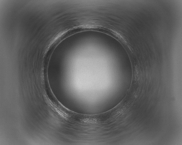 X0000051250535200507011655