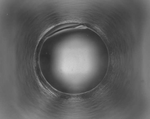 X0000051250536200507011655