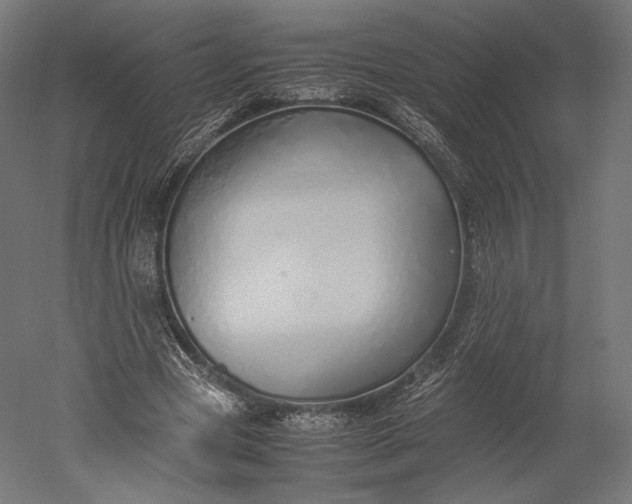 X0000051250537200507011655