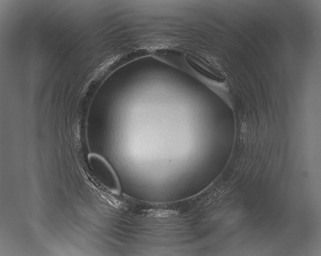 X0000051250539200507011655