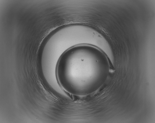 X0000051250540200507011655