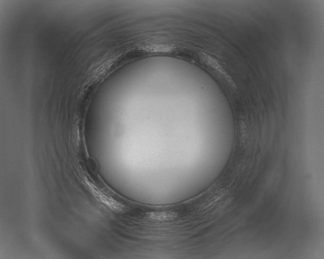 X0000051250541200507011655