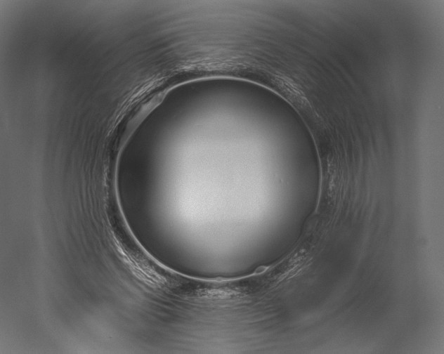 X0000051250542200507011655