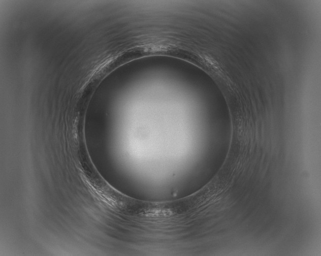 X0000051250543200507011655