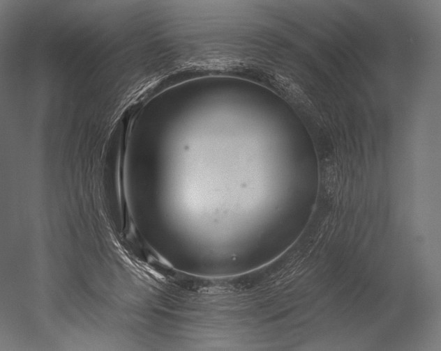 X0000051250544200507011655