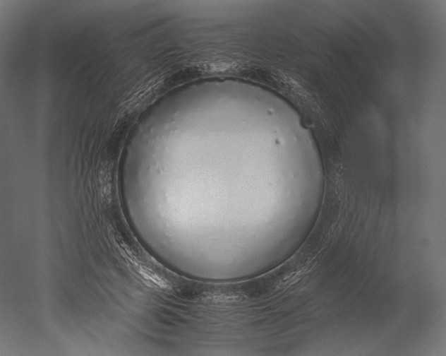 X0000051250545200507011655