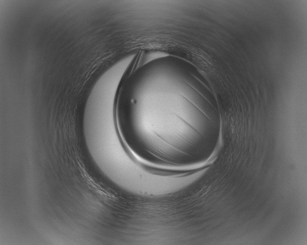 X0000051250546200507011655