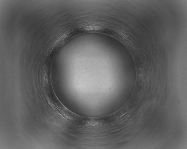 X0000051250547200507011655