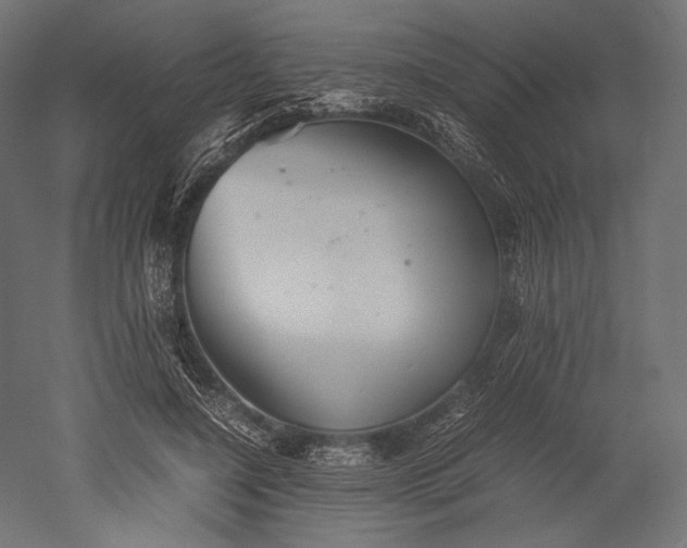 X0000051250548200507011655