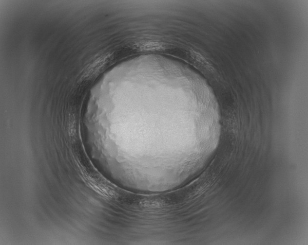 X0000051250549200507011655