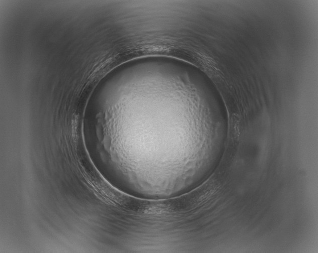 X0000051250550200507011655