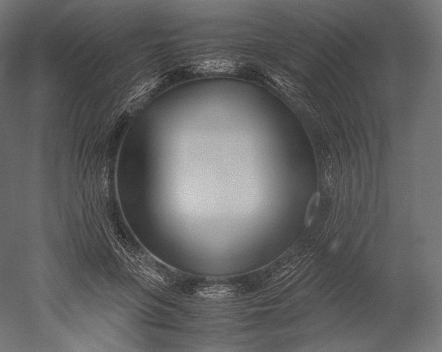 X0000051250551200507011655