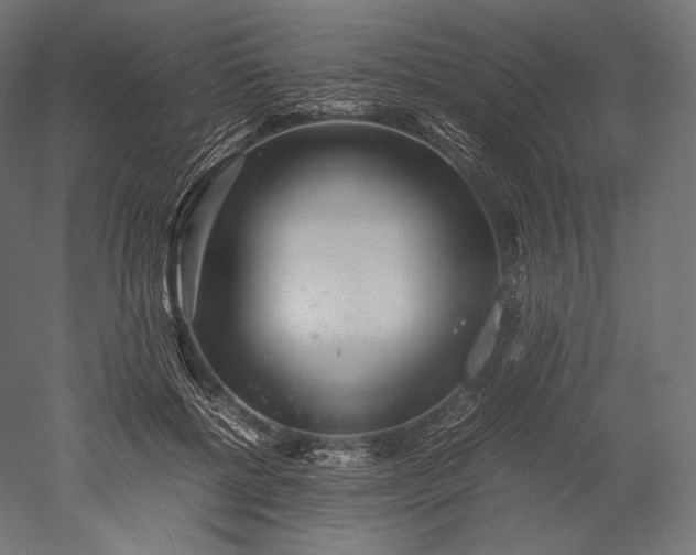 X0000051250552200507011655