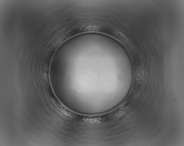 X0000051250553200507011655