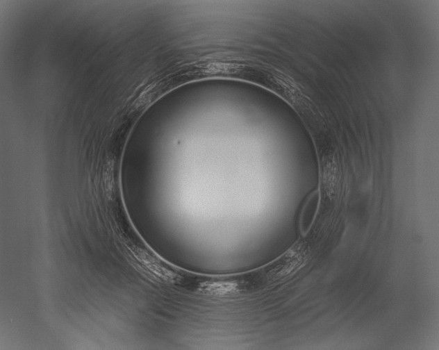 X0000051250554200507011655