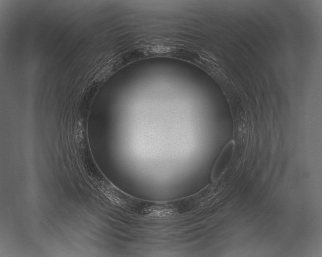 X0000051250555200507011655