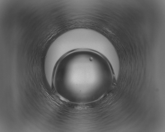 X0000051250556200507011655